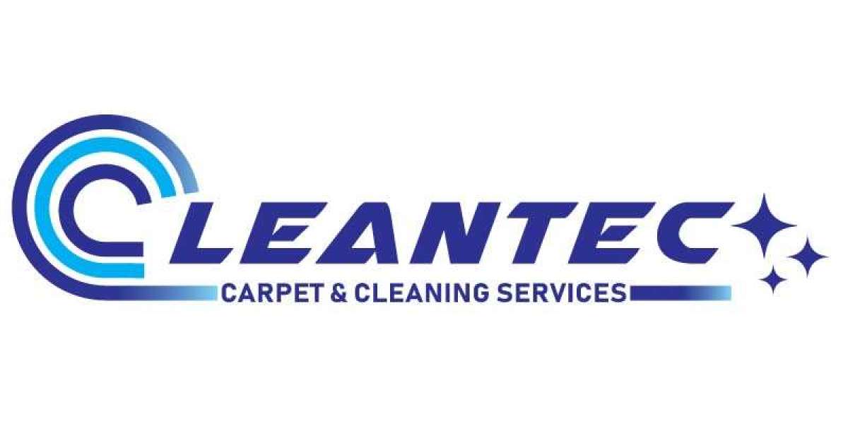 Professional Carpet Cleaning Sydney Can Revive Your Carpets